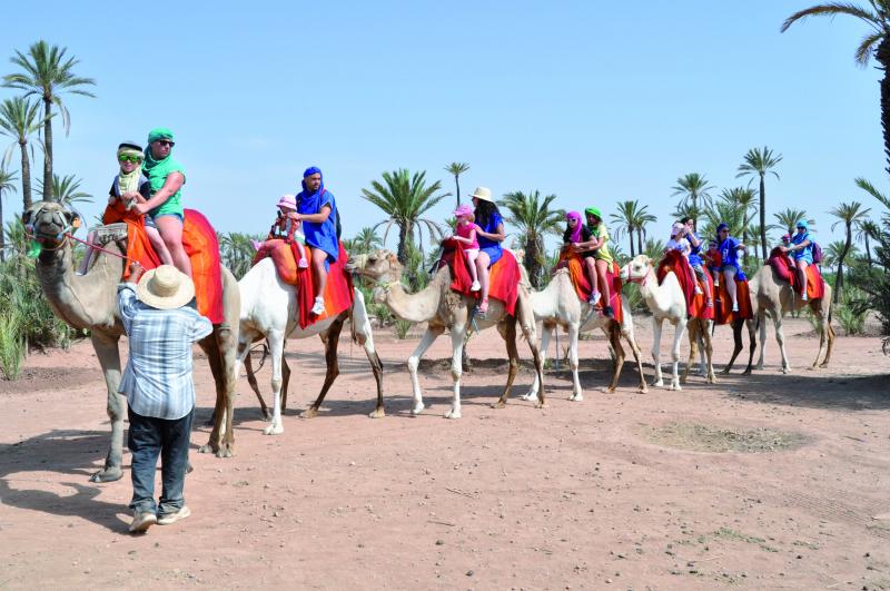 Vacances à Marrakech Le Cap et La Rocade