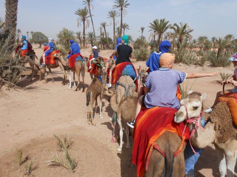 Vacances à Marrakech Le Pastel